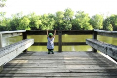 Black Hawk State Historic Site (Rock Island, IL)