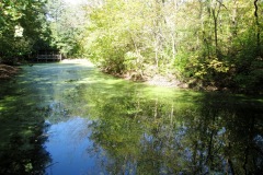 Humiston Woods Nature Center (Pontiac, IL)