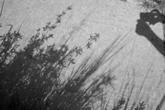 Mines of Spain Recreation Area (Dubuque, IA) (