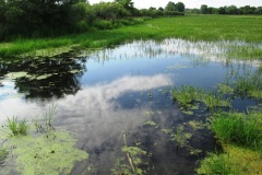 Pike Run Wildlife Area (Nichols, IA)
