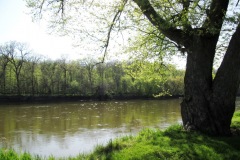 Sherman Park (Calamus, IA)