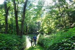 Wapsi River Center (Dixon, IA)