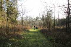 Whitewater Canyon Wildlife Area (Bernard, IA)