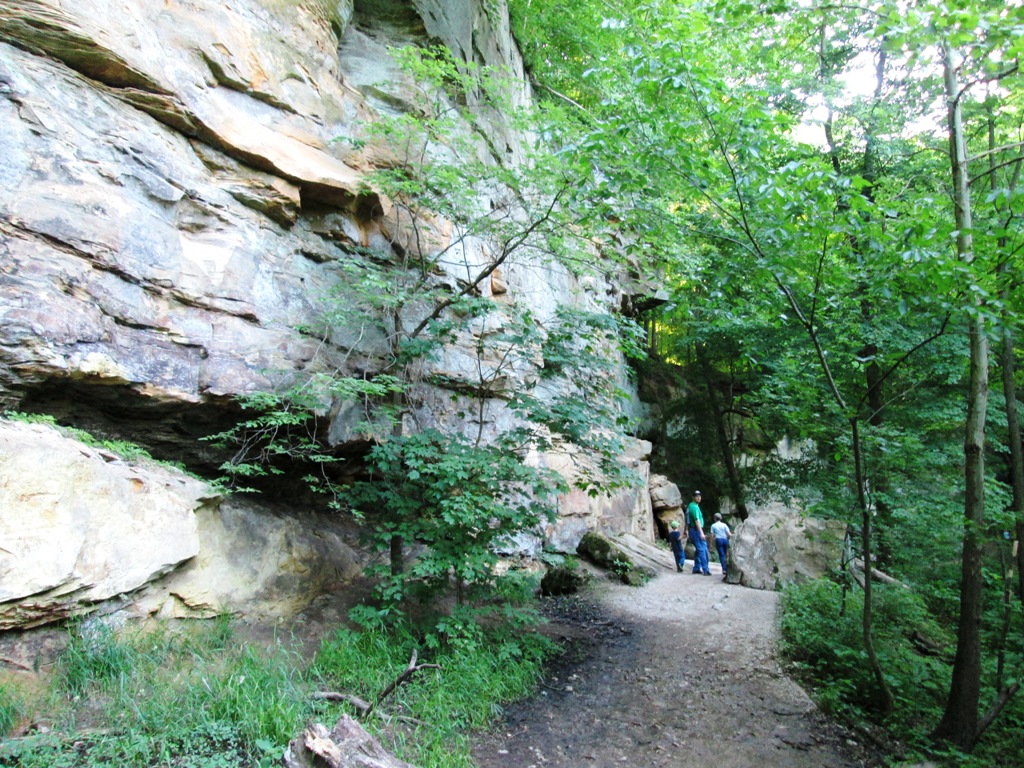 Example of sandstone bluffs along hiking trail in Wildcat Den State Park. 