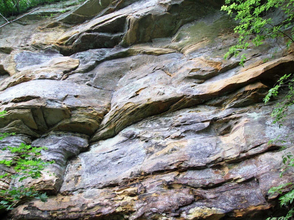 Example of sandstone bluffs at Wildcat Den State Park. 