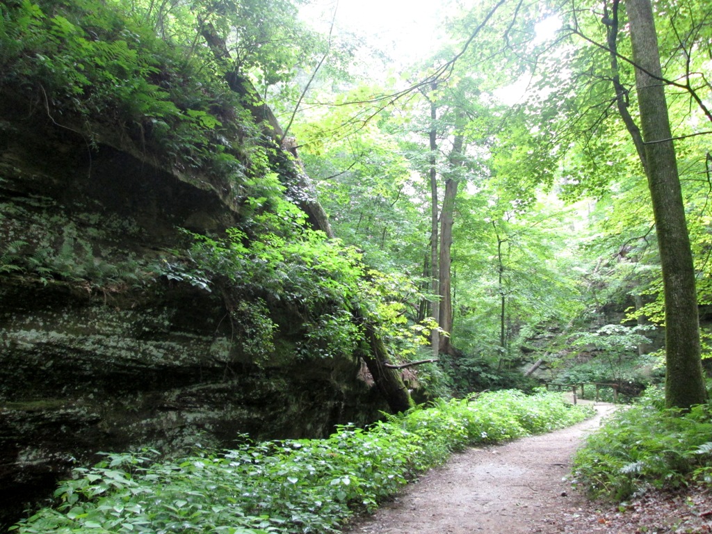 Example of Wildcat Den hiking trail.
